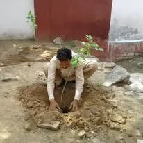 Green Seekers Activity